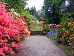 landscape garden flowers