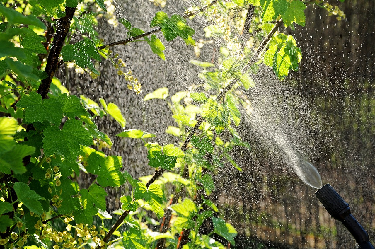 spraying