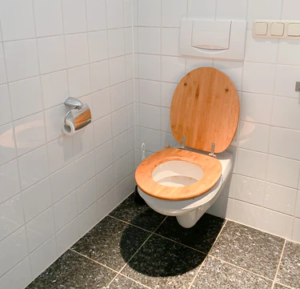 toilet