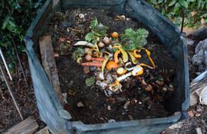 compost pile