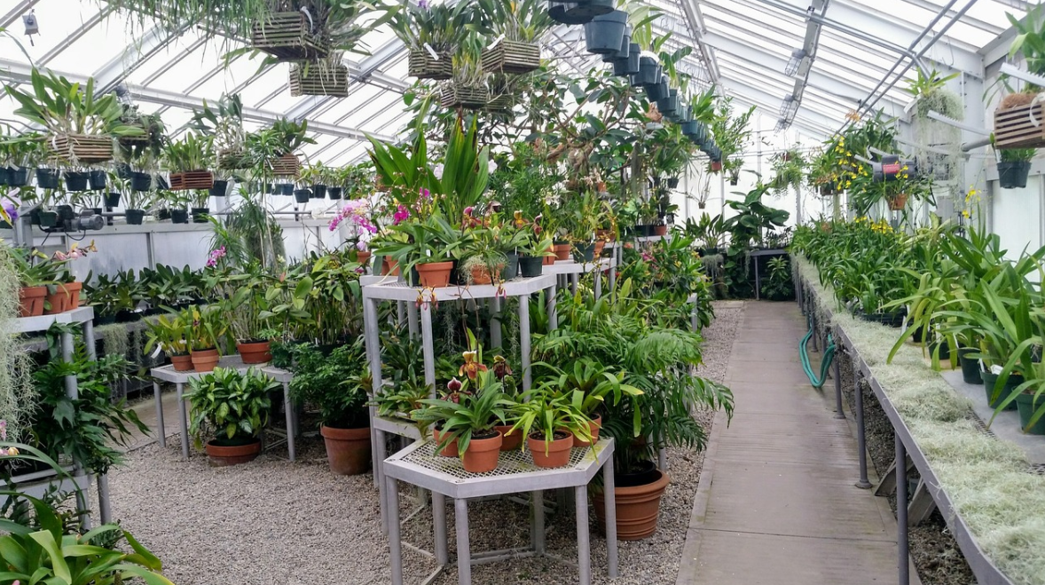 garden