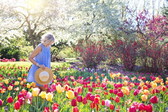 colorful yard