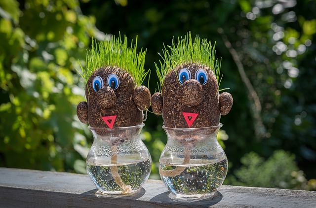 yard decor