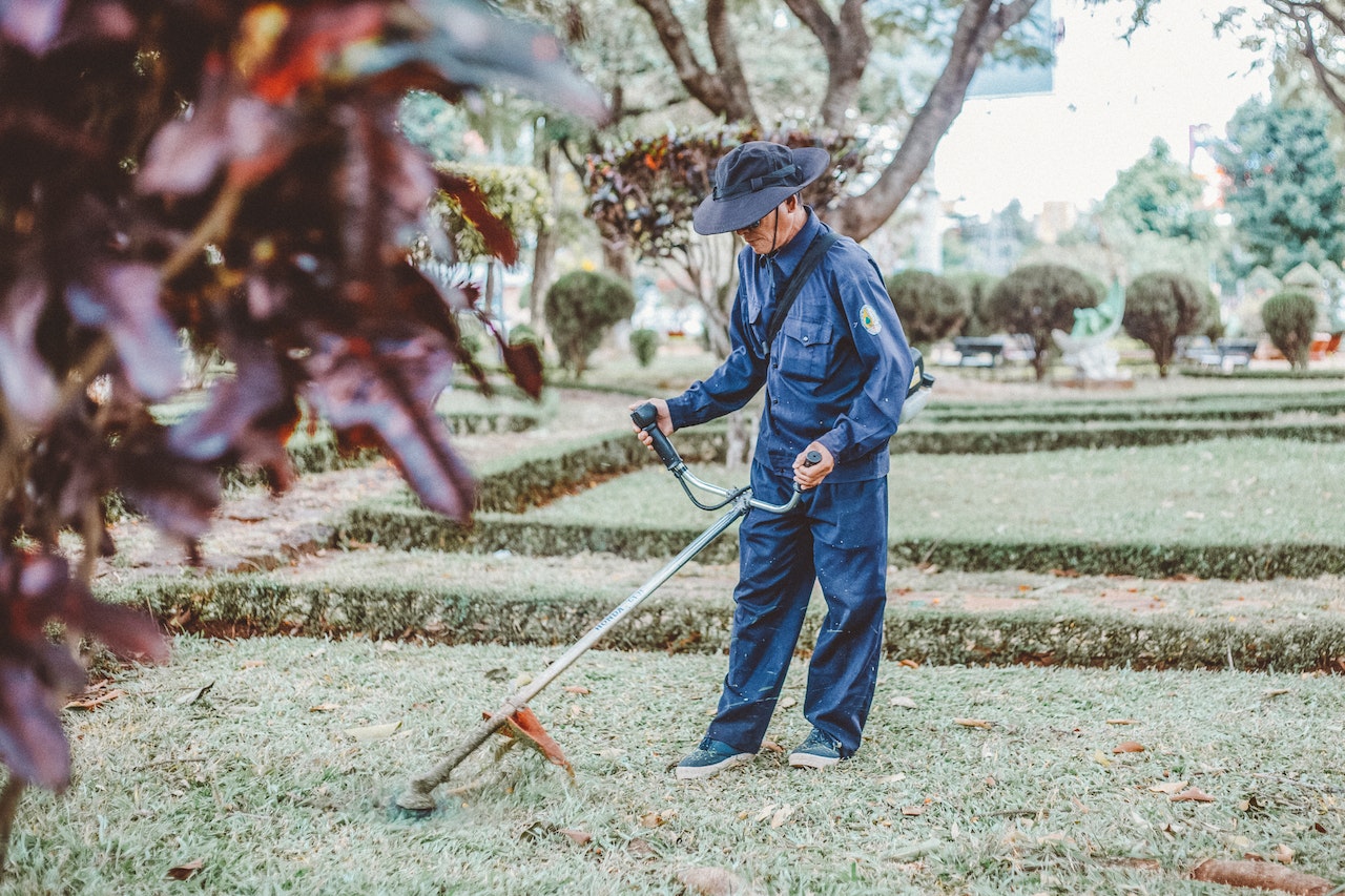 gardener